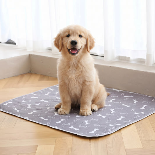 Petcessities Pup Pad