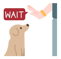 Treat Training